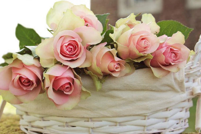 Geschenke für Kunden