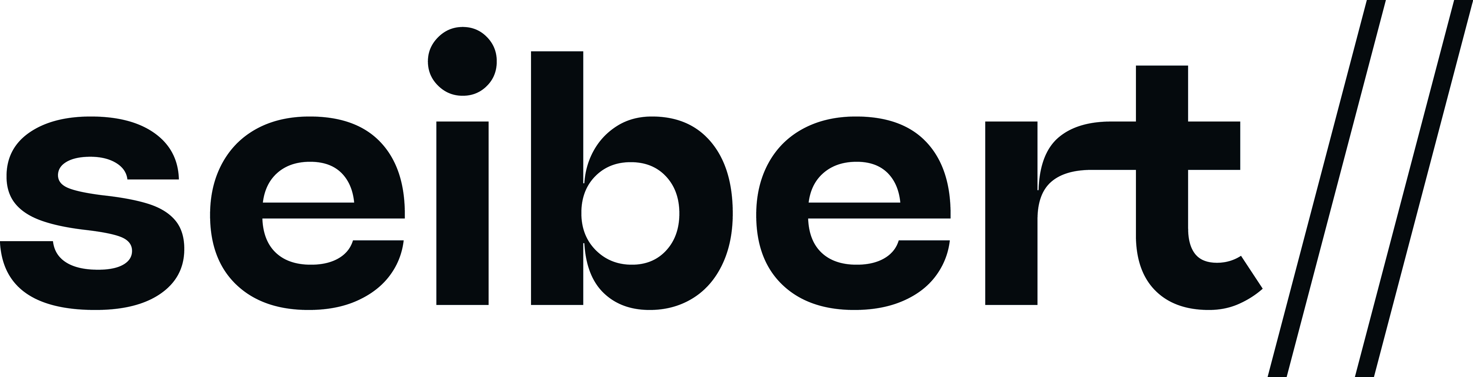 Seibert Group Logo