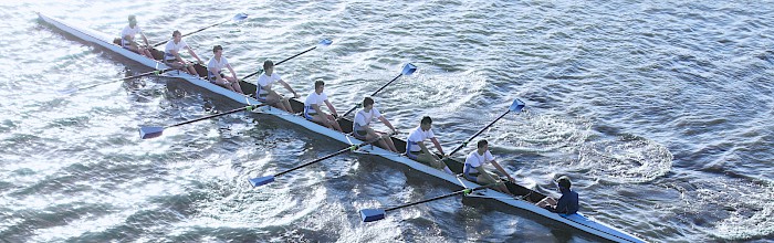 Teamtraining im Vertrieb - Zusammenarbeit Innendienst und Außendienst